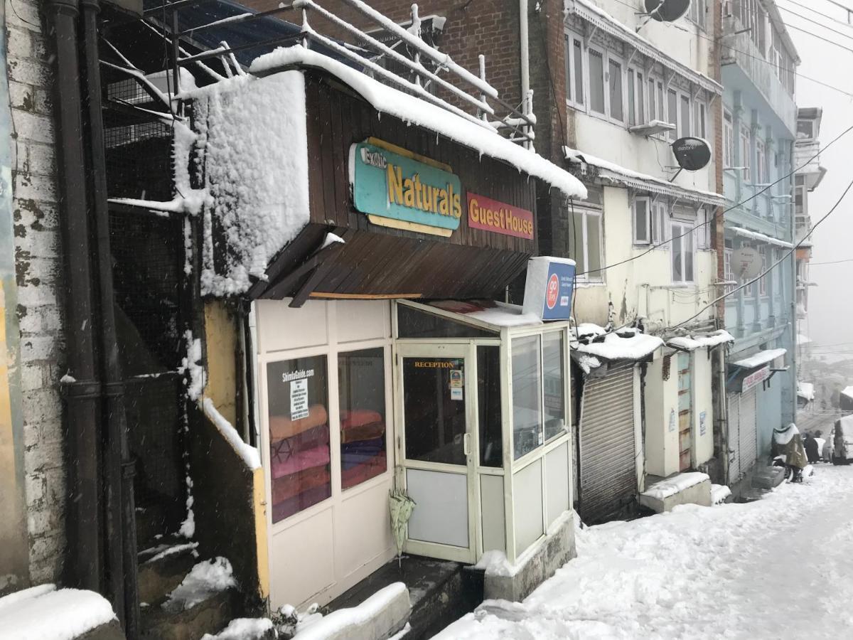 Exotic Naturals Guest House Shimla Luaran gambar